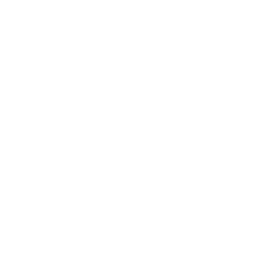 Large Family
